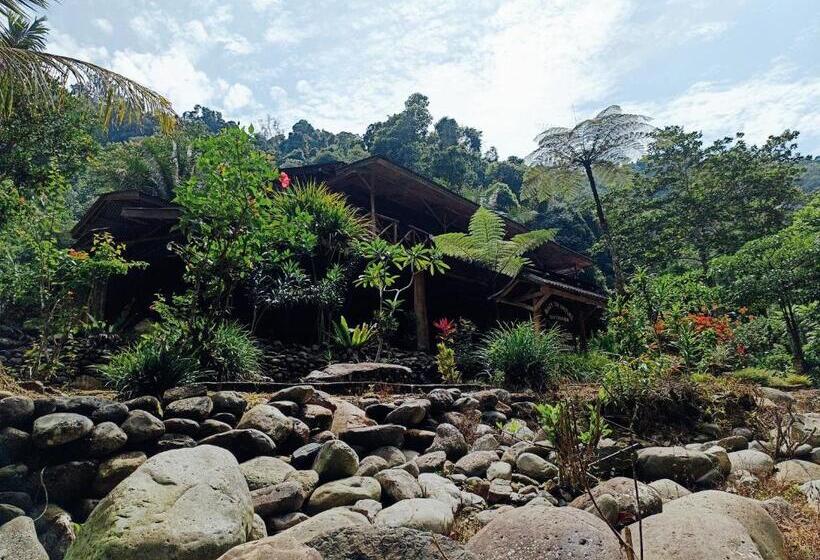 ペンション Back To Nature Ecotourism