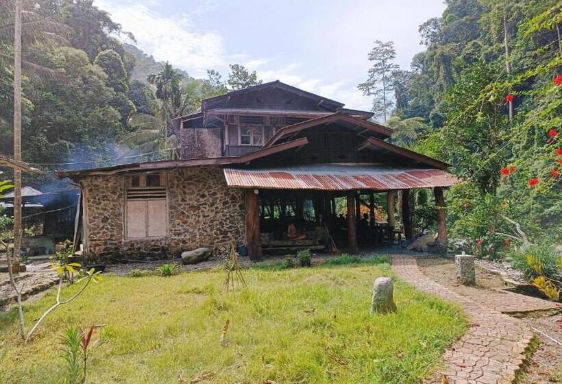 ペンション Back To Nature Ecotourism