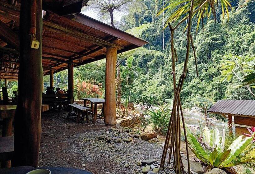 ペンション Back To Nature Ecotourism