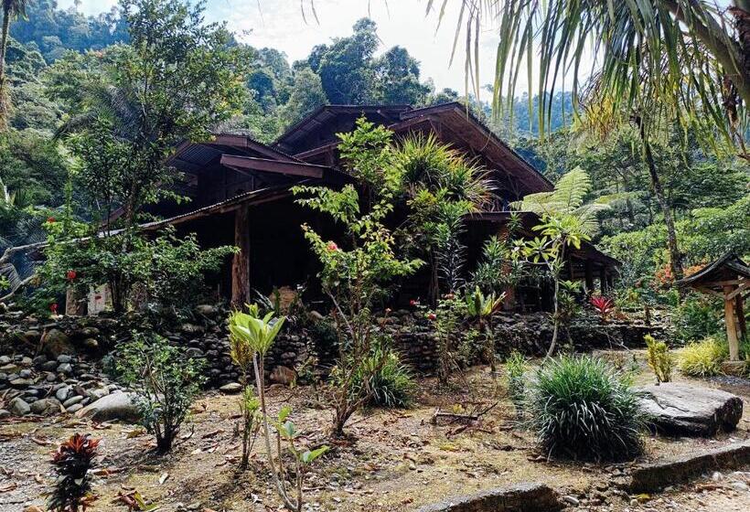 ペンション Back To Nature Ecotourism