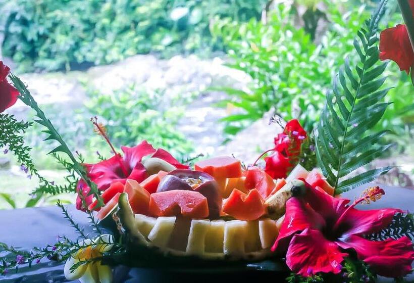 ペンション Back To Nature Ecotourism