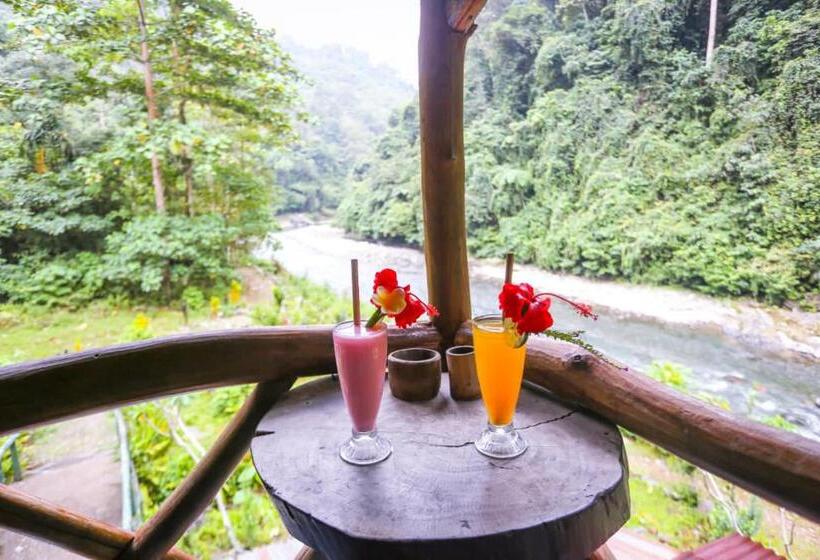 ペンション Back To Nature Ecotourism