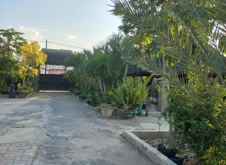 Pensionat Camila Guest House