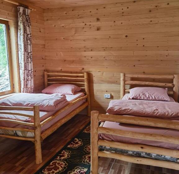 펜션 Guesthouse Artani,