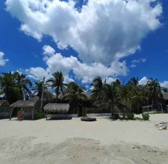 פנסיון Palenque Beach House