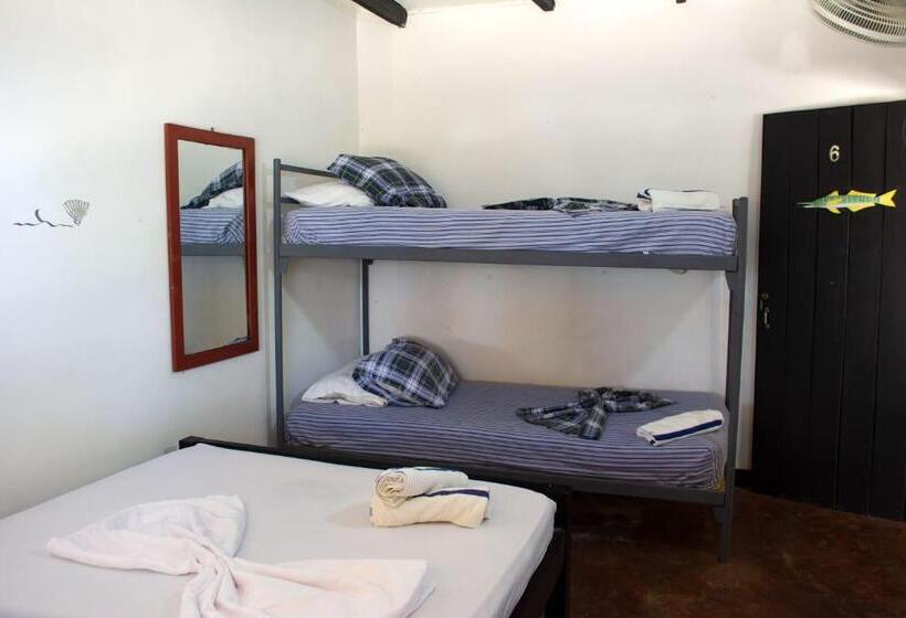 פנסיון Palenque Beach House