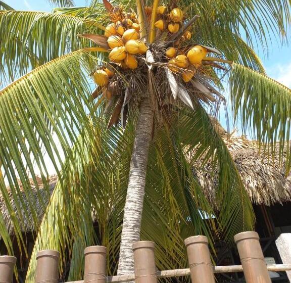 פנסיון Palenque Beach House