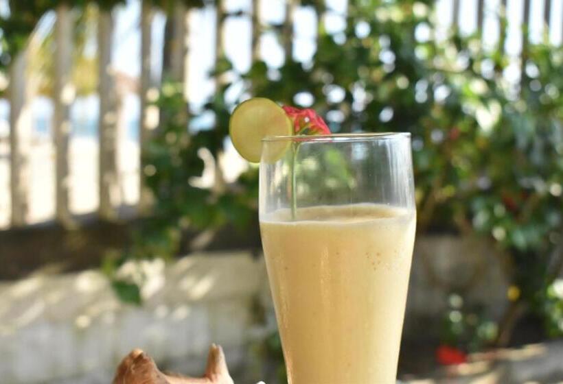 פנסיון Palenque Beach House