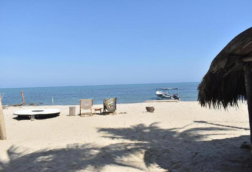 פנסיון Palenque Beach House