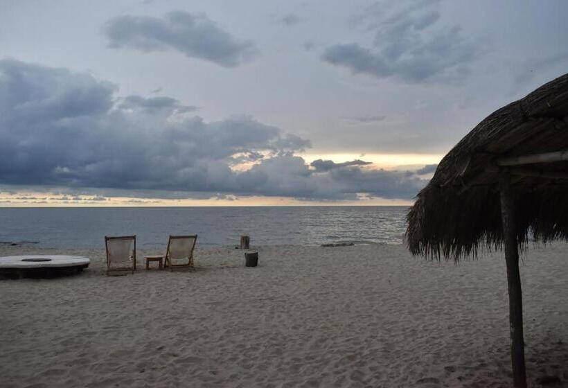 פנסיון Palenque Beach House