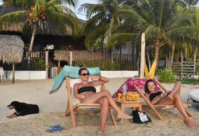 פנסיון Palenque Beach House