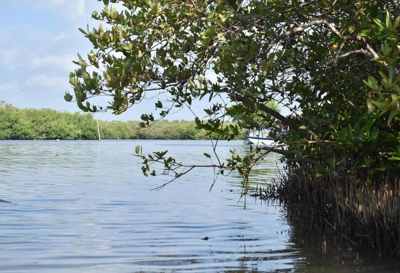 פנסיון Palenque Beach House