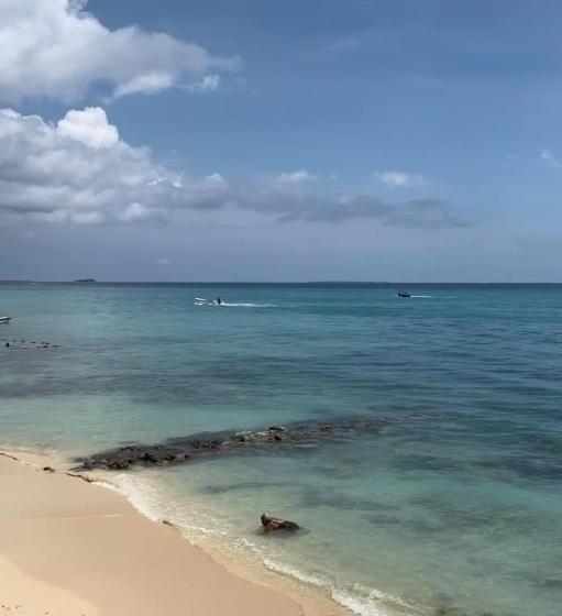 פנסיון Piña Colada Hostels