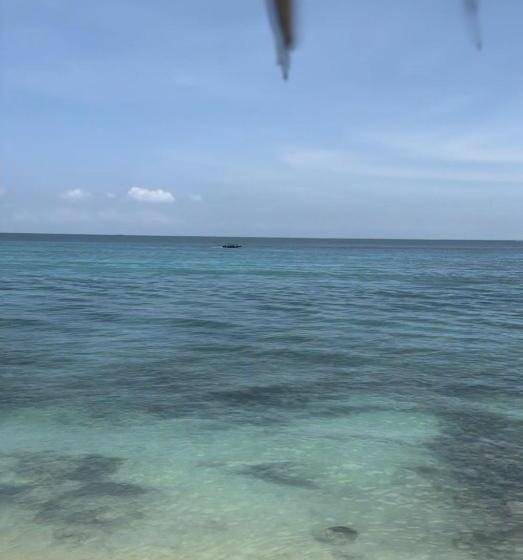 פנסיון Piña Colada Hostels