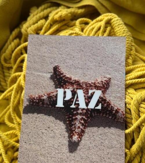 פנסיון Piña Colada Hostels