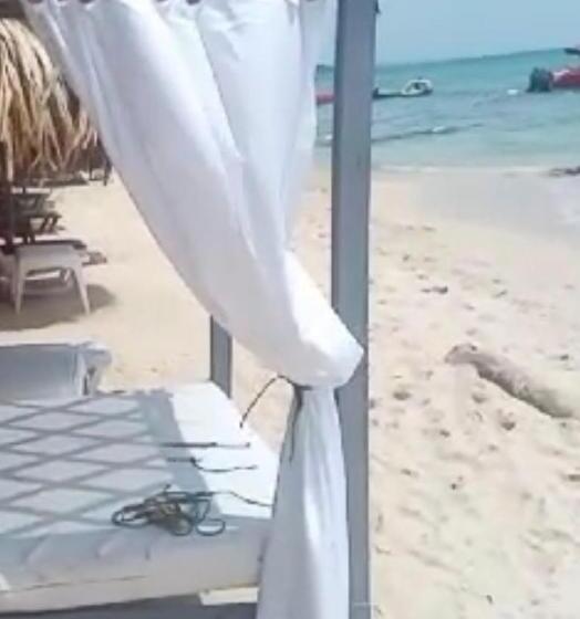 פנסיון Piña Colada Hostels