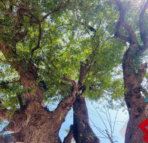 פנסיון Raja Residency