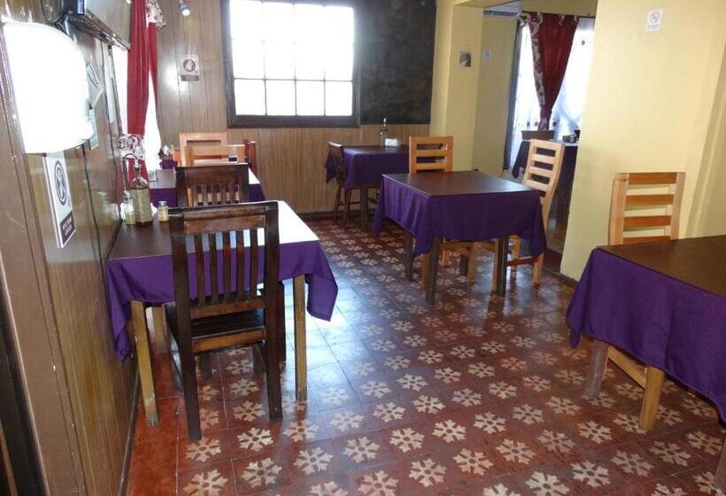 بنسيون Rancagua Erika