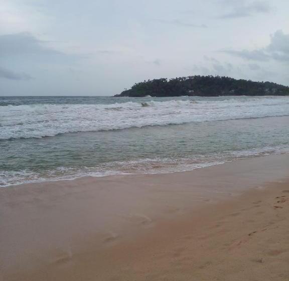 بنسيون Rosy Guest House