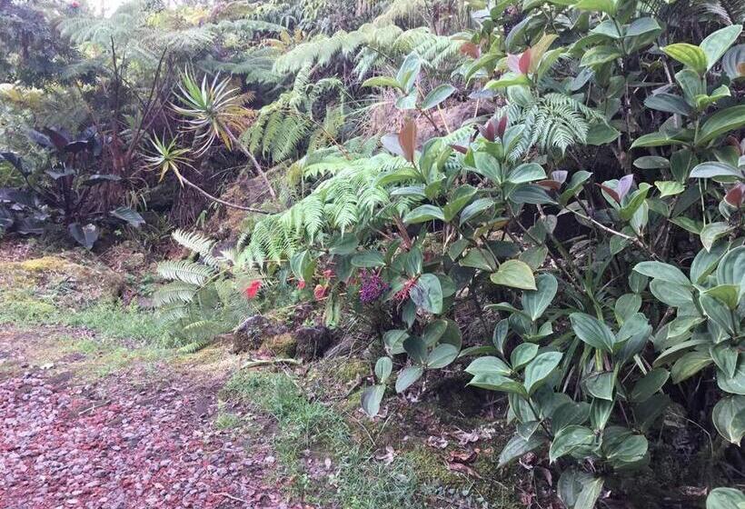 بنسيون Simple Rustic Studio Deluxe Bed In Tropical Fruits Garden
