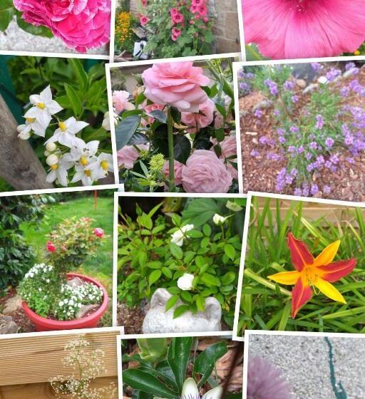 بنسيون The Annex