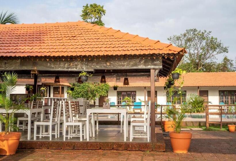 منتجع Dhanrains Moonlight Retreat Cottages