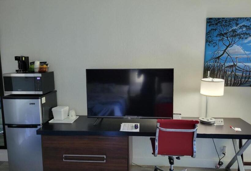 Slice Of Sarasota S Paradise Sarasota Bayfront