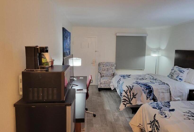 Slice Of Sarasota S Paradise Sarasota Bayfront