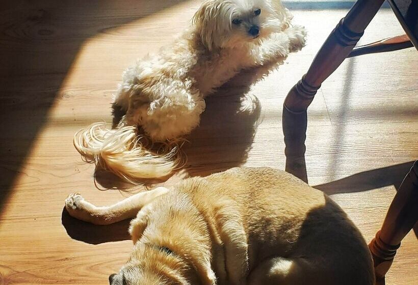 민박 Capharnaüm Gîte   Boutique   Café