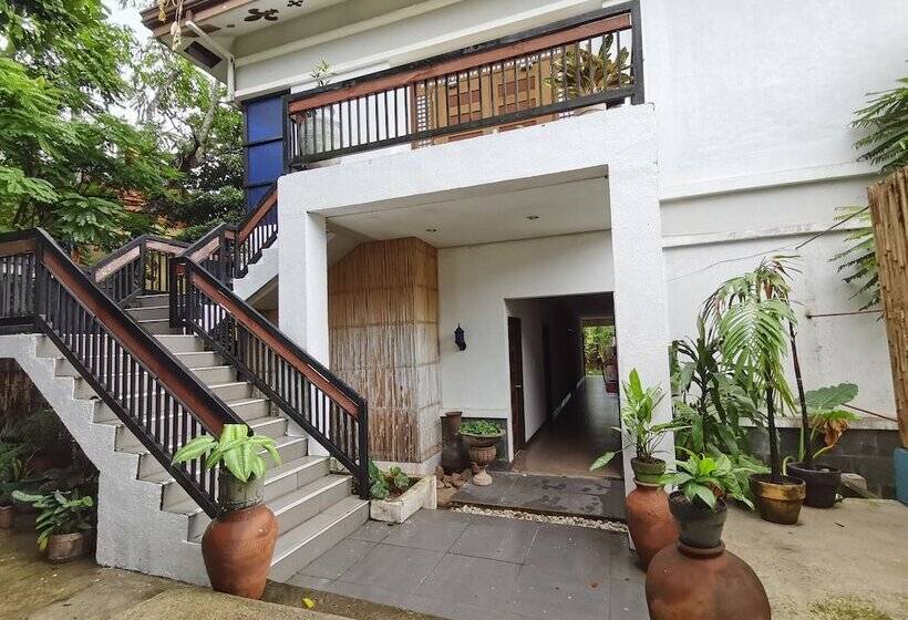 تختخواب و صبحانه Coron Town Traveller S Dormitory