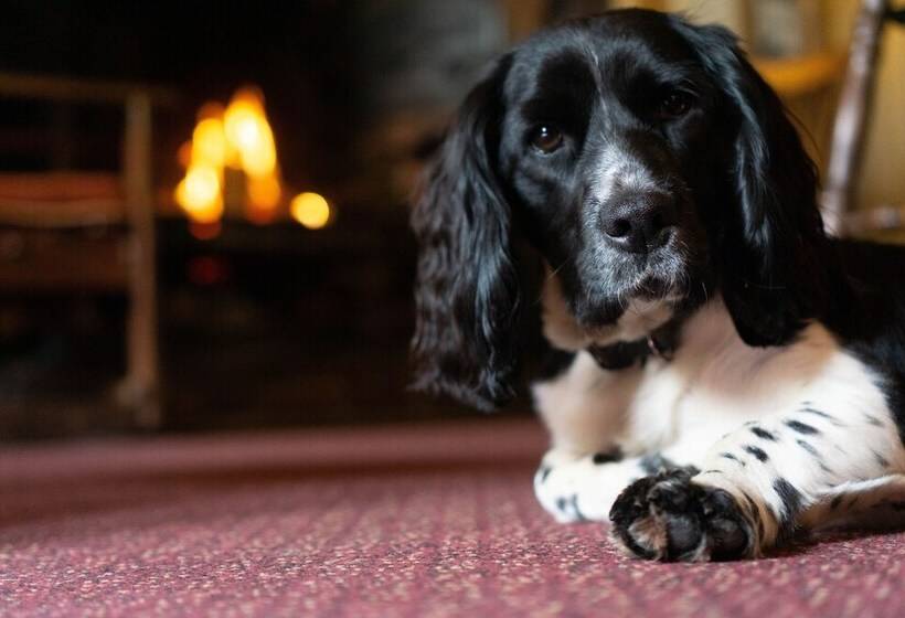 צימר Duke Of York