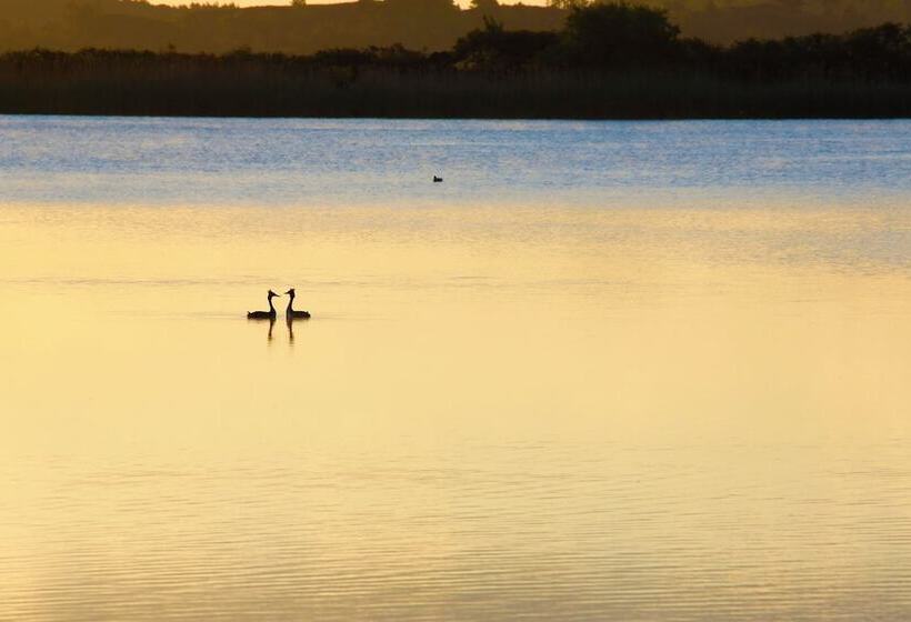 مبيت وإفطار Lakeview Studios