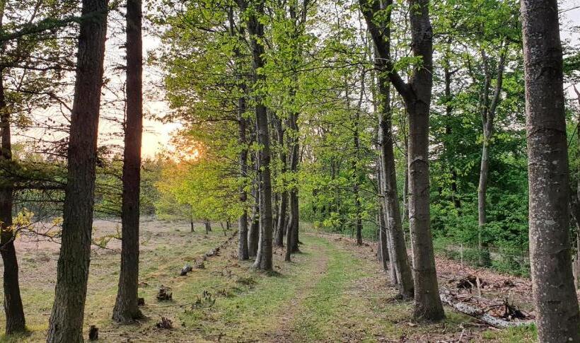 تختخواب و صبحانه Stay Billund