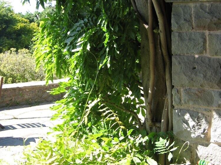 Luxury Bed And Breakfast At Bossington Hall In Exmoor, Somerset