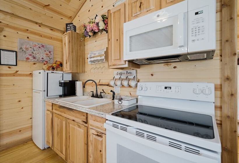 Fancy Cabin Right On Main St!