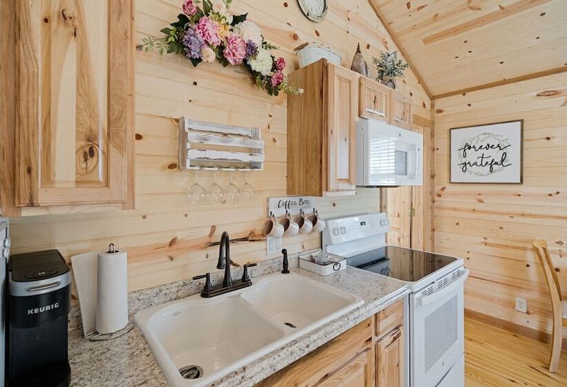 Fancy Cabin Right On Main St!