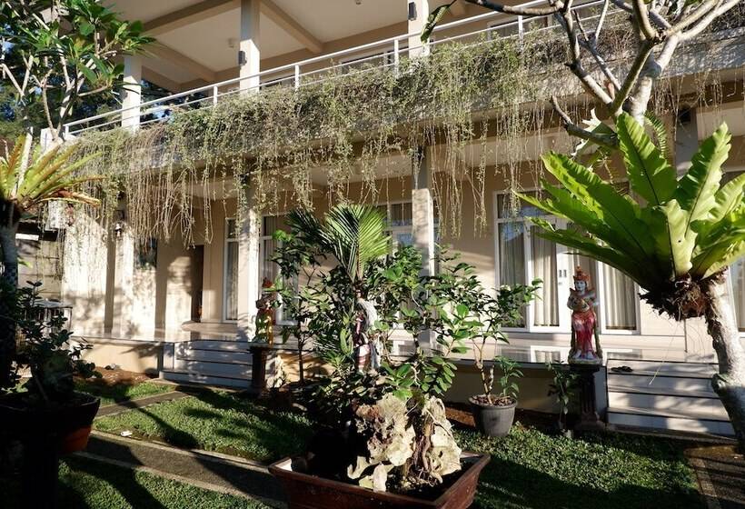 Gunza Bed And Breakfast