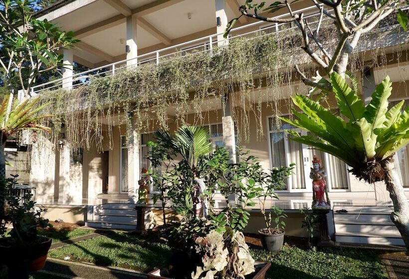 Gunza Bed And Breakfast