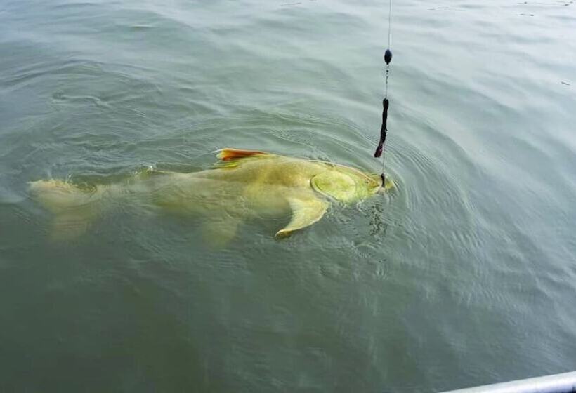 客栈  Pousada Navegantes