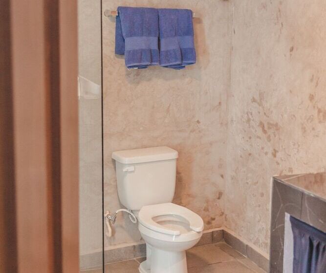 هتل Boutique Casa Mocheta