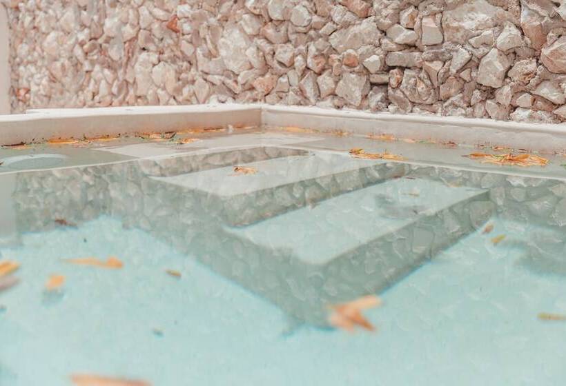 هتل Boutique Casa Mocheta