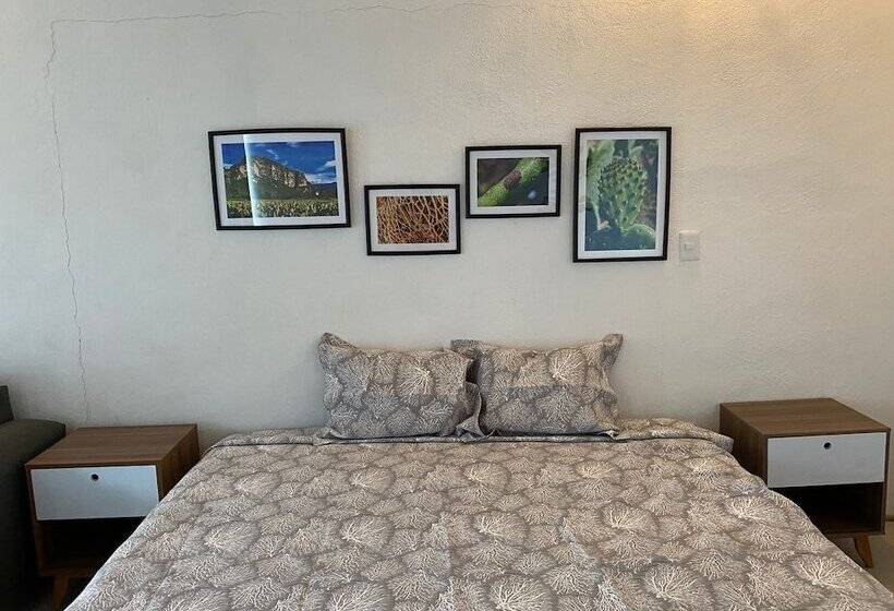 فندق Brida Tlayacapan