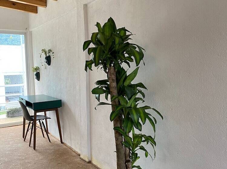 فندق Brida Tlayacapan