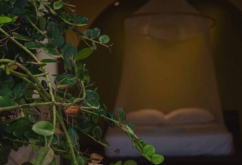 فندق Cabañas Punta Placer