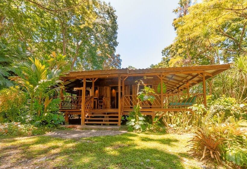 酒店 Casa Viva Lodge