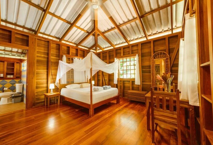 酒店 Casa Viva Lodge