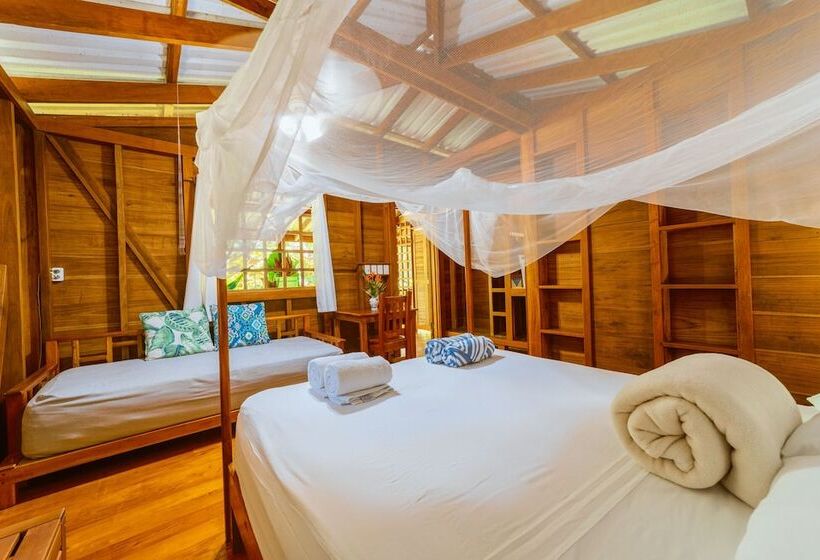 酒店 Casa Viva Lodge