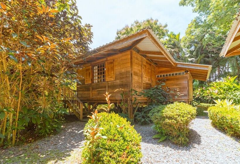 酒店 Casa Viva Lodge