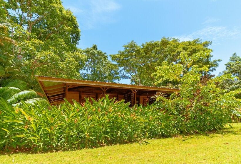 酒店 Casa Viva Lodge