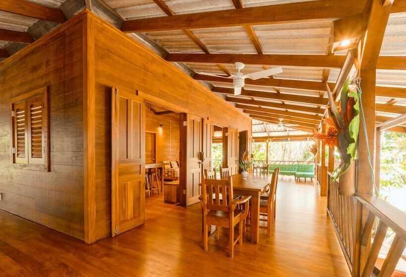 酒店 Casa Viva Lodge